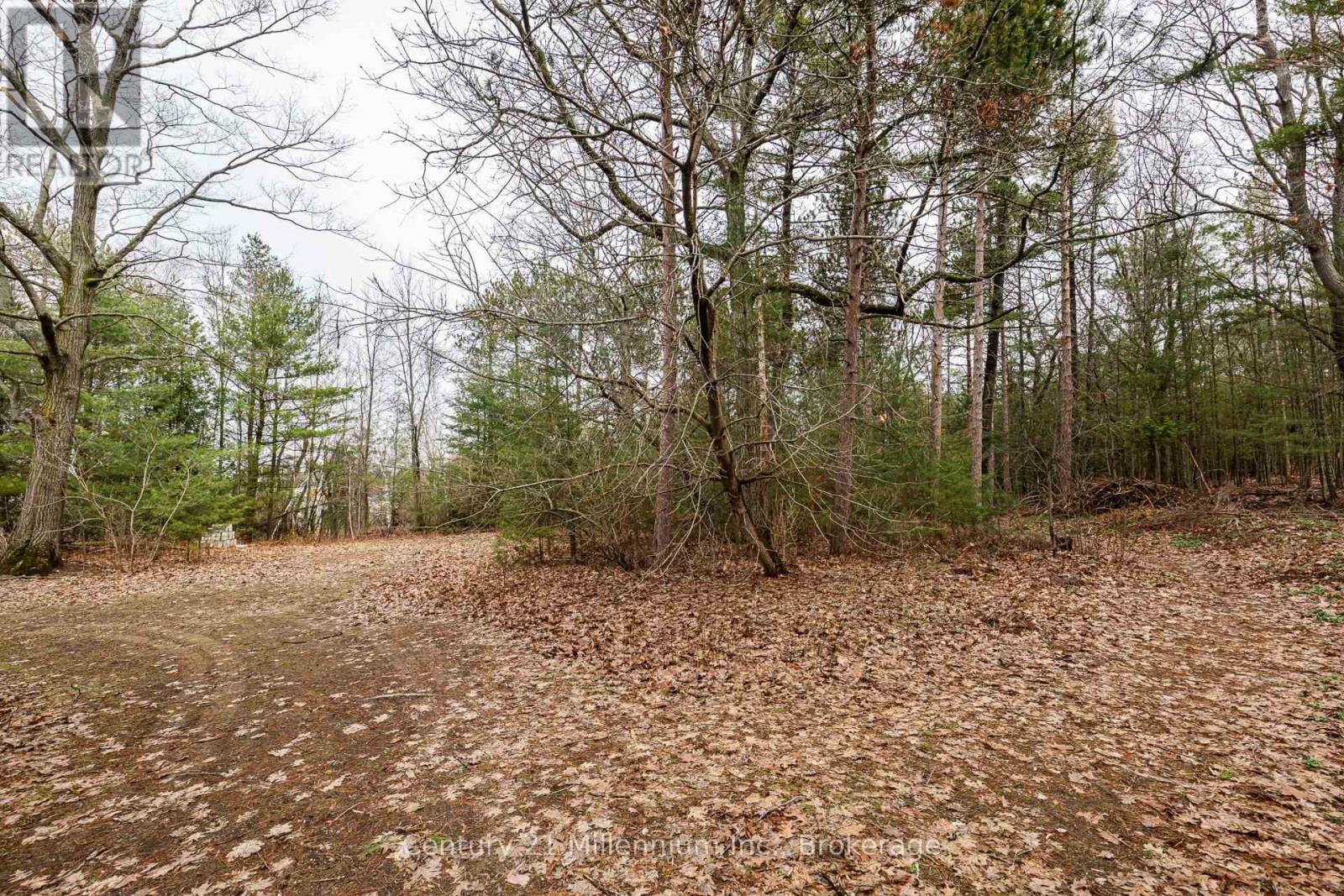 8 Poplar Street, Wasaga Beach, Ontario  L9Z 2X5 - Photo 12 - S13025998