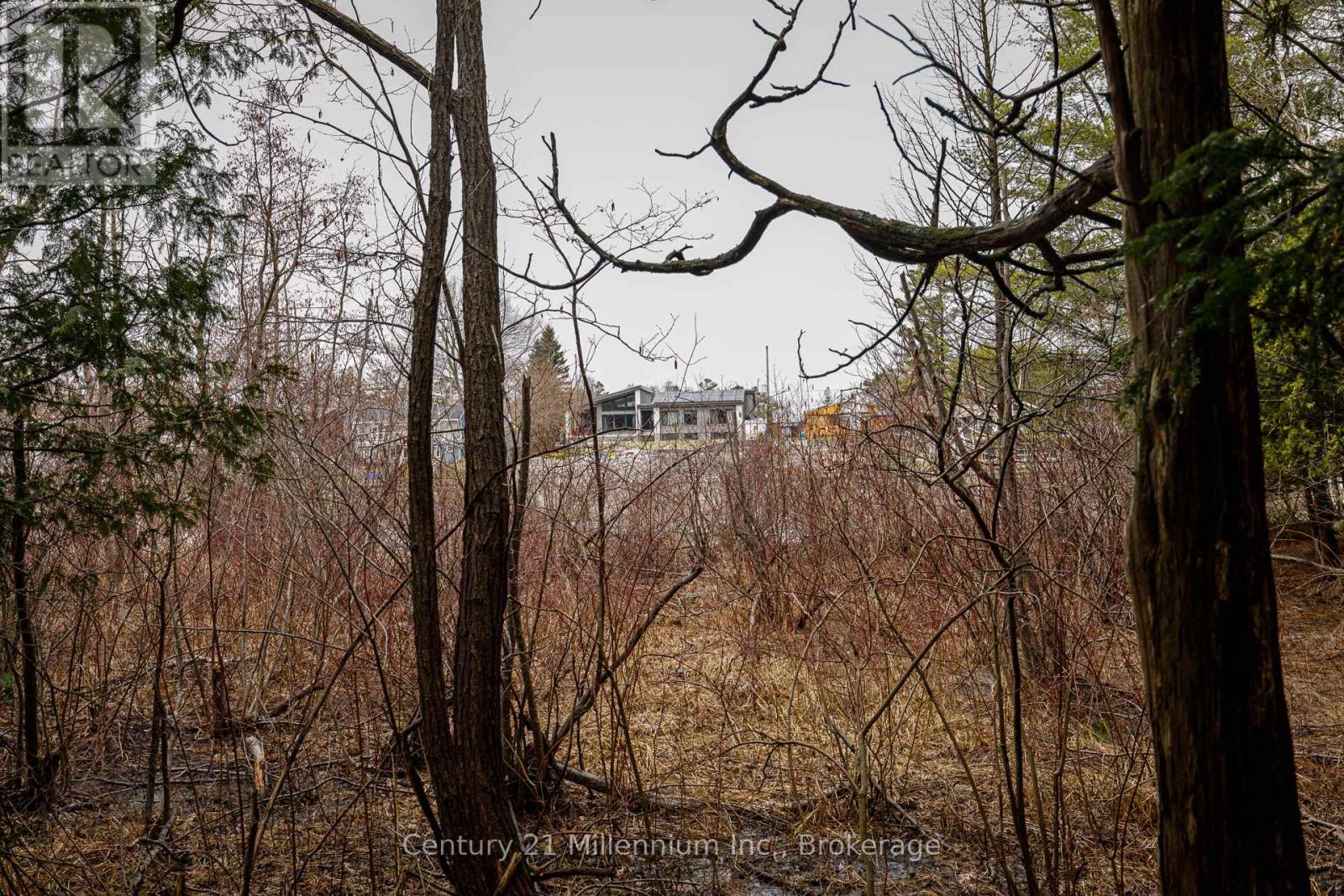 8 Poplar Street, Wasaga Beach, Ontario  L9Z 2X5 - Photo 19 - S13025998