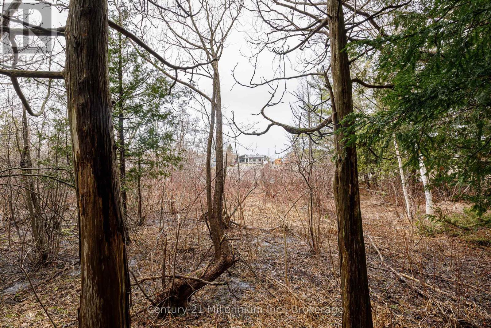 8 Poplar Street, Wasaga Beach, Ontario  L9Z 2X5 - Photo 21 - S13025998