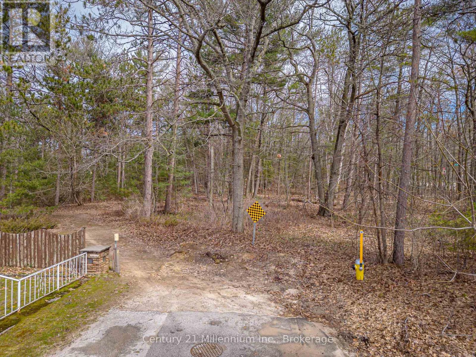 8 Poplar Street, Wasaga Beach, Ontario  L9Z 2X5 - Photo 46 - S13025998