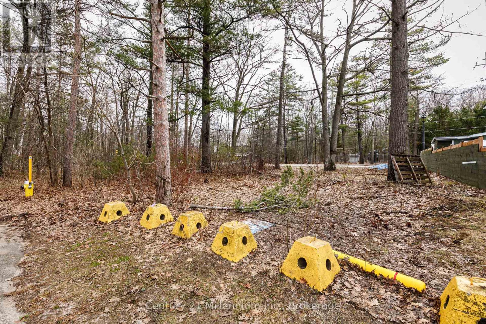 8 Poplar Street, Wasaga Beach, Ontario  L9Z 2X5 - Photo 9 - S13025998