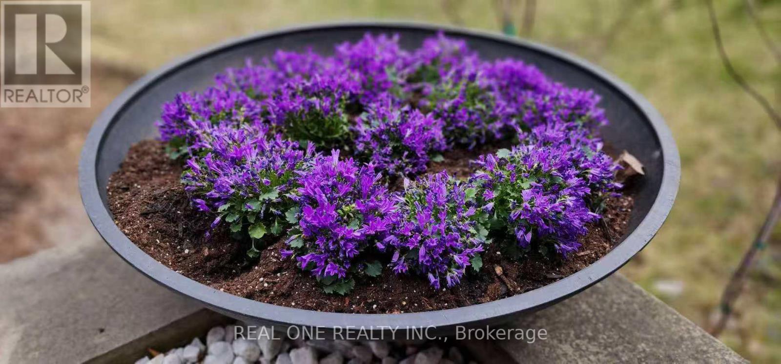 3537 Enniskillen Circle, Mississauga, Ontario  L5C 2M9 - Photo 3 - W13029612