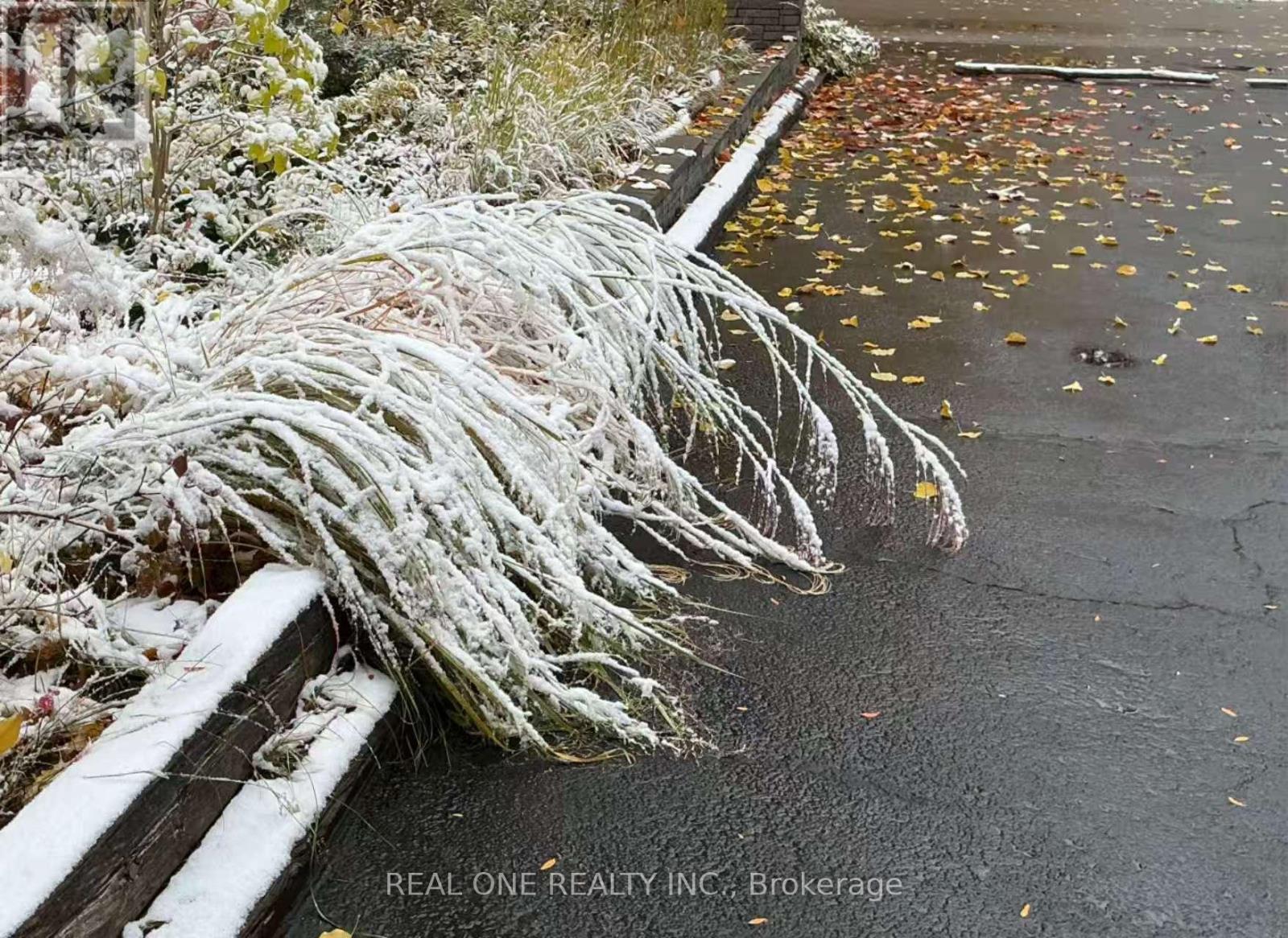 3537 Enniskillen Circle, Mississauga, Ontario  L5C 2M9 - Photo 6 - W13029612