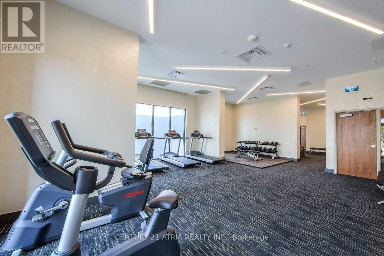 2017 - 5033 Four Springs Avenue, Mississauga, Ontario  L5R 0G6 - Photo 32 - W13029642