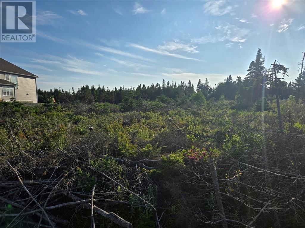 Lot 5 Edgewater Lane, Torbay, Newfoundland & Labrador  A1K 0G9 - Photo 2 - 1296482