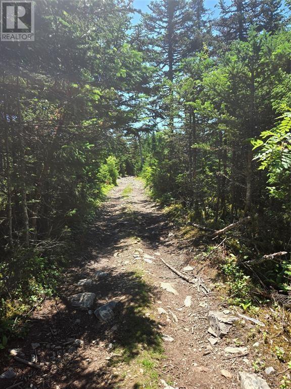 Lot 5 Edgewater Lane, Torbay, Newfoundland & Labrador  A1K 0G9 - Photo 3 - 1296482
