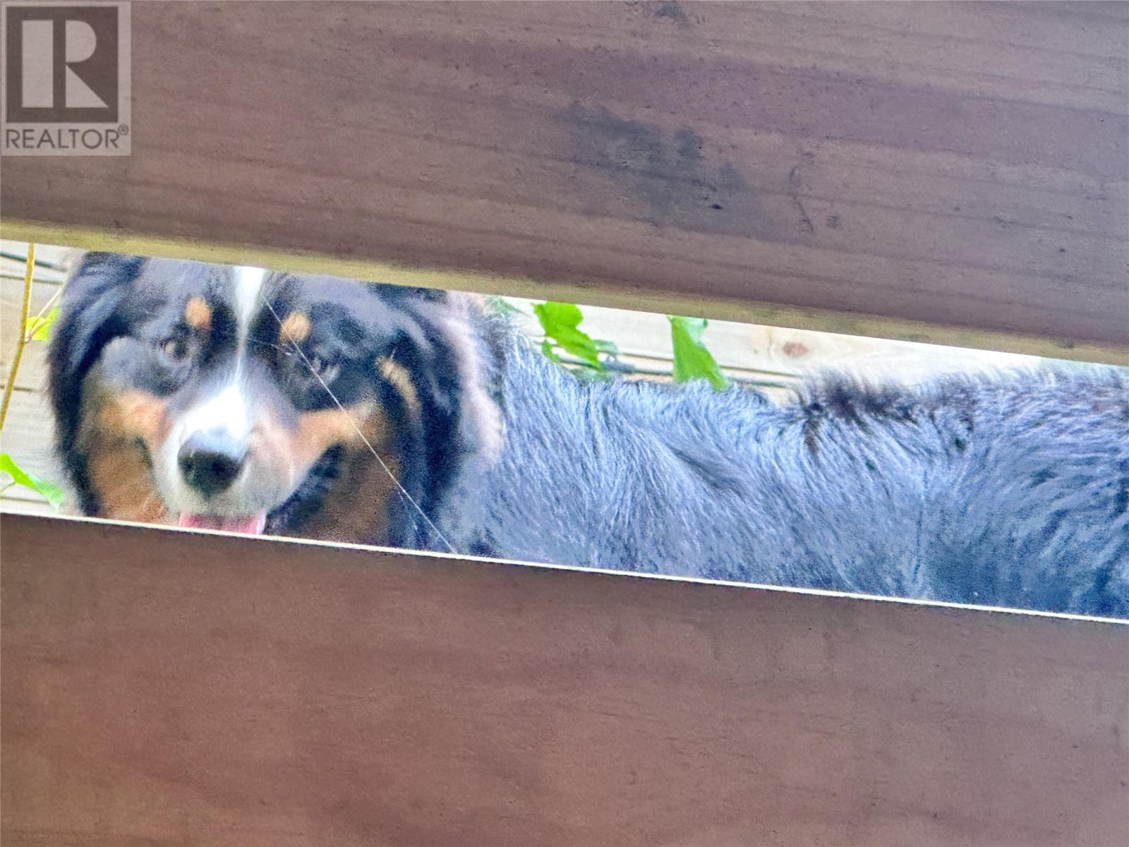 136 - 138 Greenwood Street, Creston South, Newfoundland & Labrador  A0E 1K0 - Photo 18 - 1296344