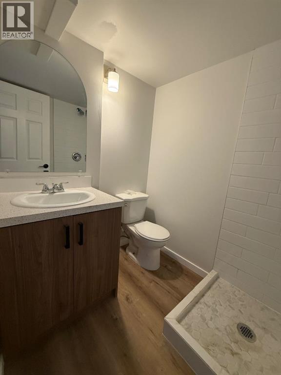 5032 55th Avenue, High Prairie, Alberta  T0G 1E0 - Photo 19 - A2303480