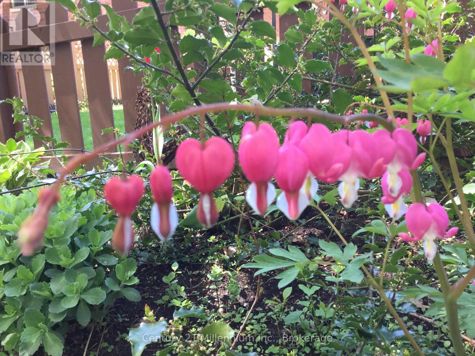 15 Brillinger Drive, Wasaga Beach, Ontario  L9Z 1L4 - Photo 40 - S12906094