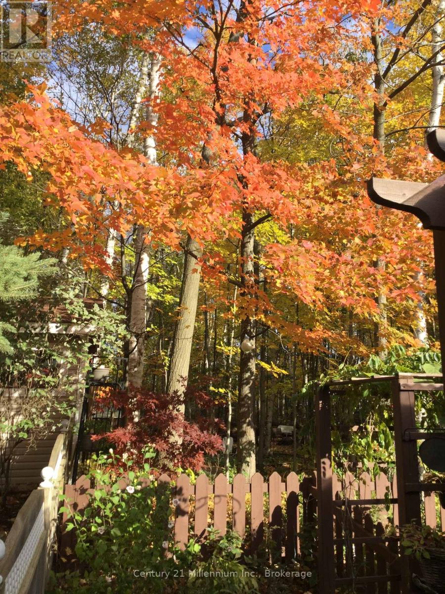 15 Brillinger Drive, Wasaga Beach, Ontario  L9Z 1L4 - Photo 41 - S12906094