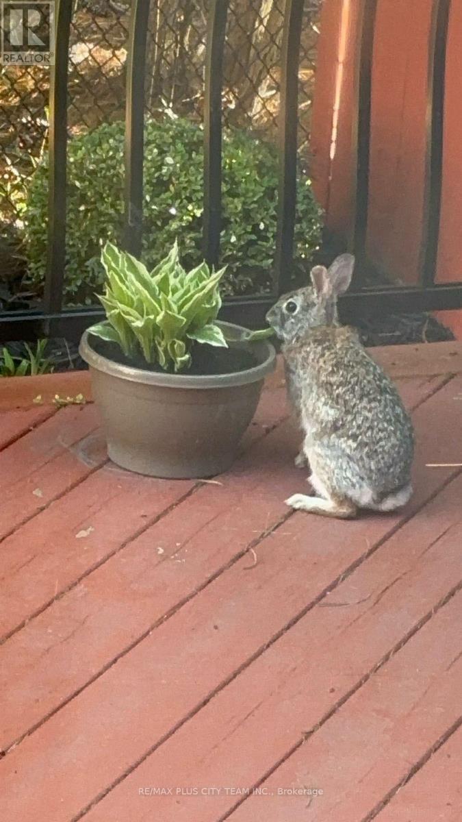 16 Edison Way, Whitby, Ontario  L1R 0M3 - Photo 45 - E13030064