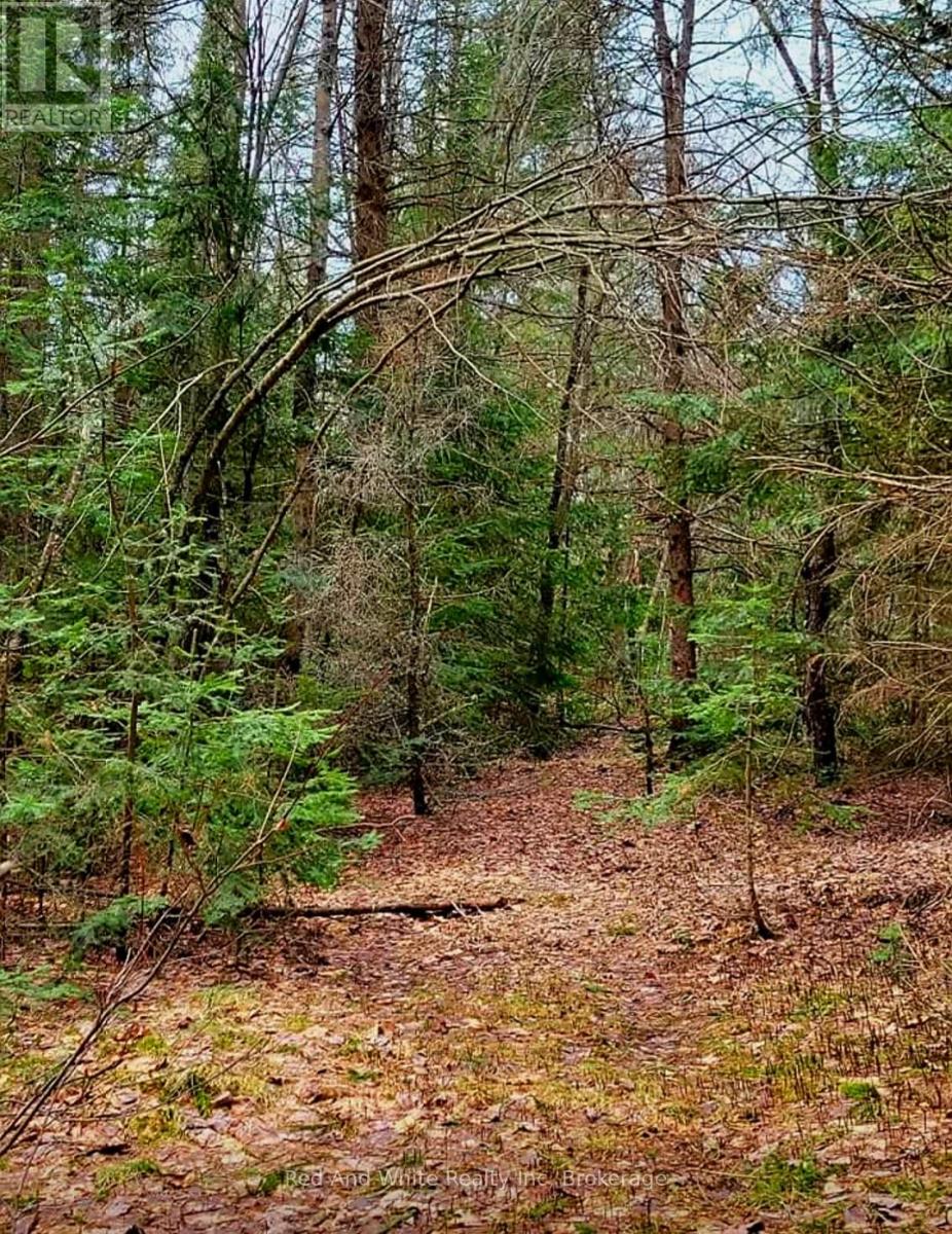 2650 Nipissing Road S, Magnetawan, Ontario  P0A 1P0 - Photo 25 - X12984968