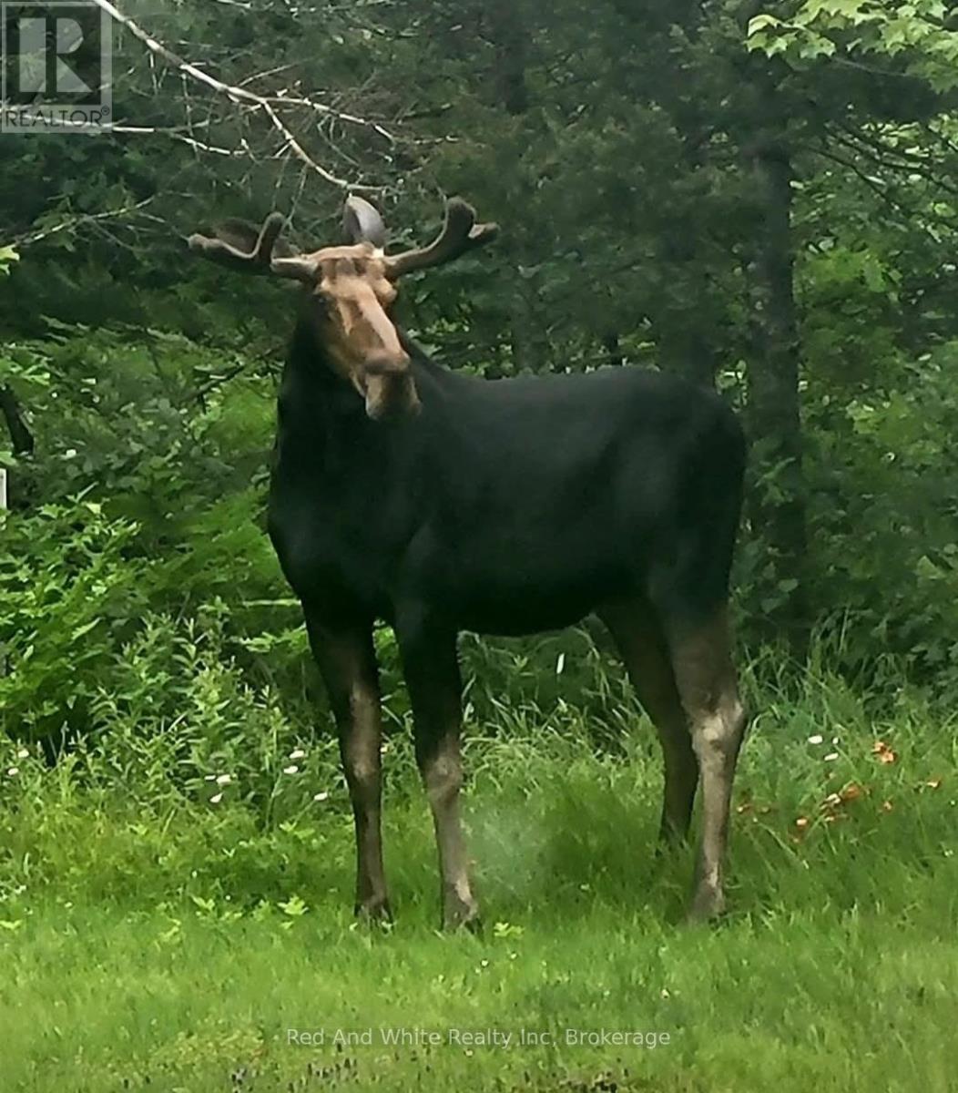 2650 Nipissing Road S, Magnetawan, Ontario  P0A 1P0 - Photo 27 - X12984968