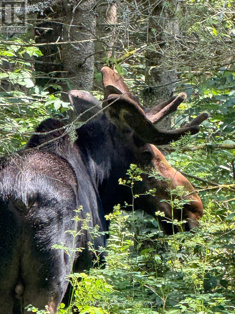 2650 Nipissing Road S, Magnetawan, Ontario  P0A 1P0 - Photo 26 - X12984968