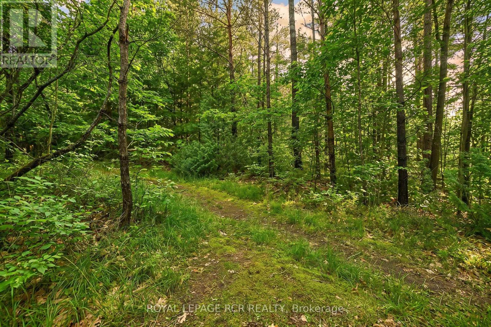 4143 Vivian Road, Whitchurch-Stouffville, Ontario  L4A 2A7 - Photo 42 - N13030020