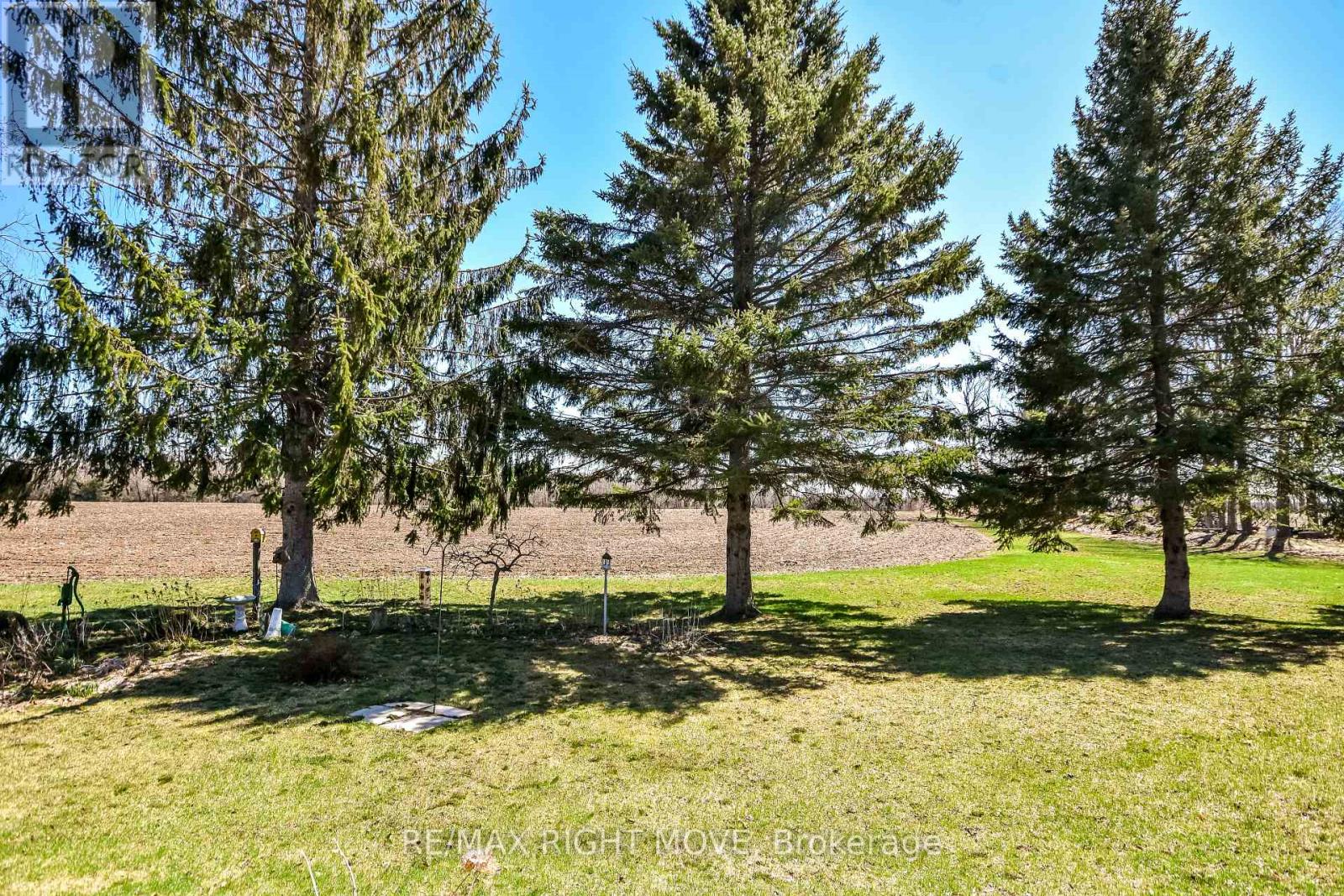 978 15/16 Side Road E, Oro-Medonte, Ontario  L0L 1T0 - Photo 39 - S13029948