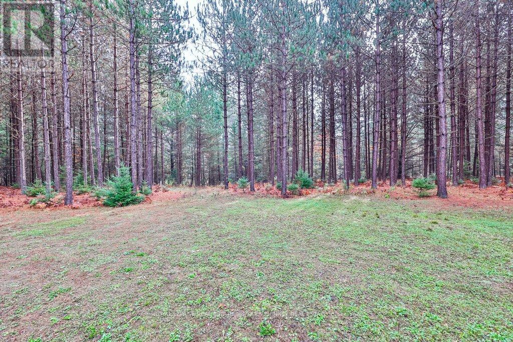 72 Harmonious Drive, Kawartha Lakes, Ontario  K0M 1N0 - Photo 38 - X13029768