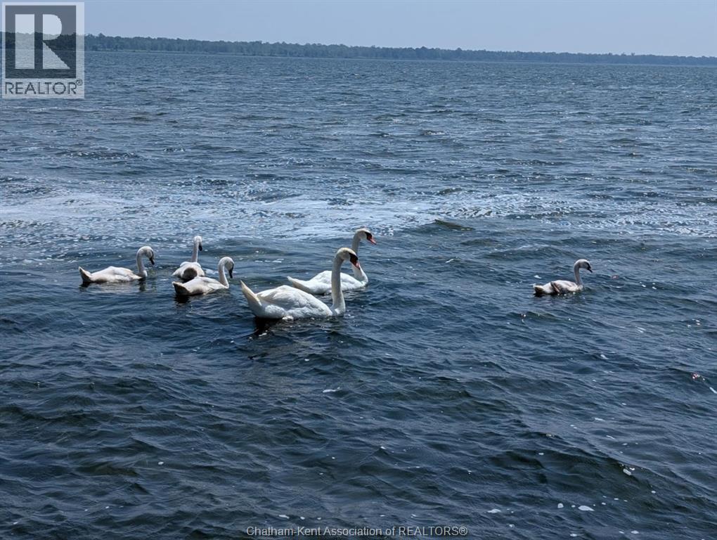 11527 Lagonda Way, Rondeau Bay Estates, Ontario  N0P 1X0 - Photo 43 - 26008445