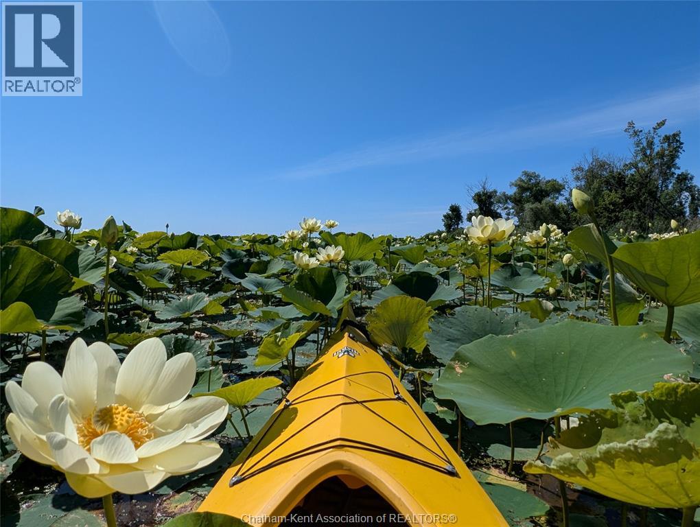 11527 Lagonda Way, Rondeau Bay Estates, Ontario  N0P 1X0 - Photo 41 - 26008445