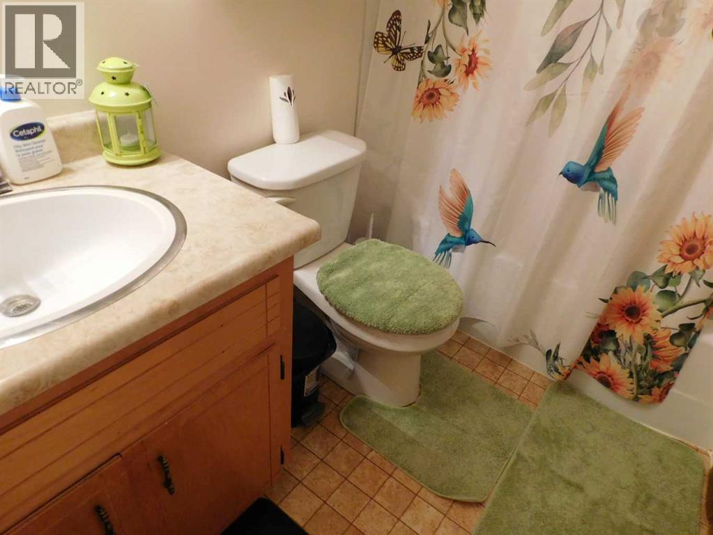 4839 48 Street, Rocky Mountain House, Alberta  T4T 1C9 - Photo 12 - A2302082