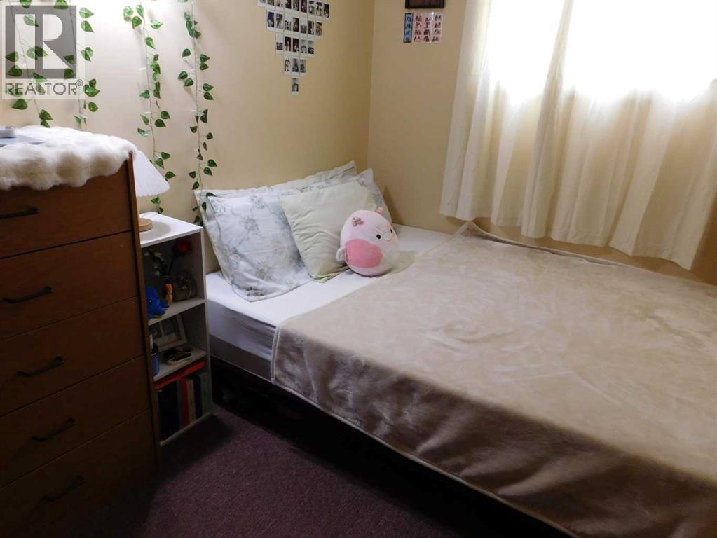 4839 48 Street, Rocky Mountain House, Alberta  T4T 1C9 - Photo 9 - A2302082