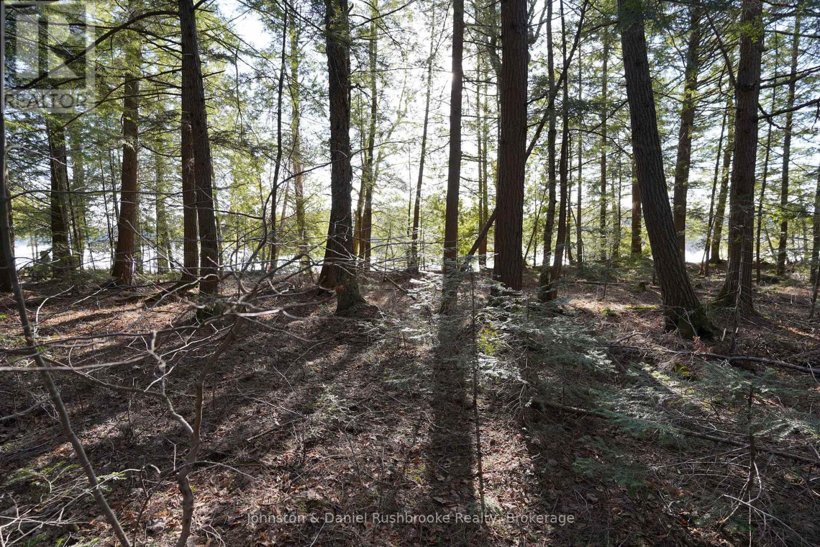 Lot 1 West Bear Lake Road, Mcmurrich/monteith, Ontario  P0A 1Y0 - Photo 12 - X13030212