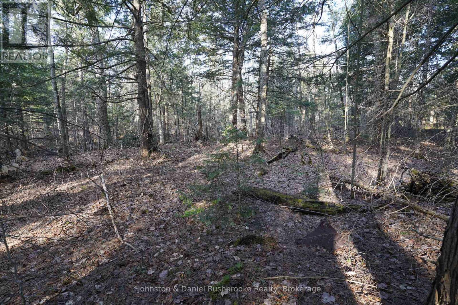 Lot 1 West Bear Lake Road, Mcmurrich/monteith, Ontario  P0A 1Y0 - Photo 13 - X13030212