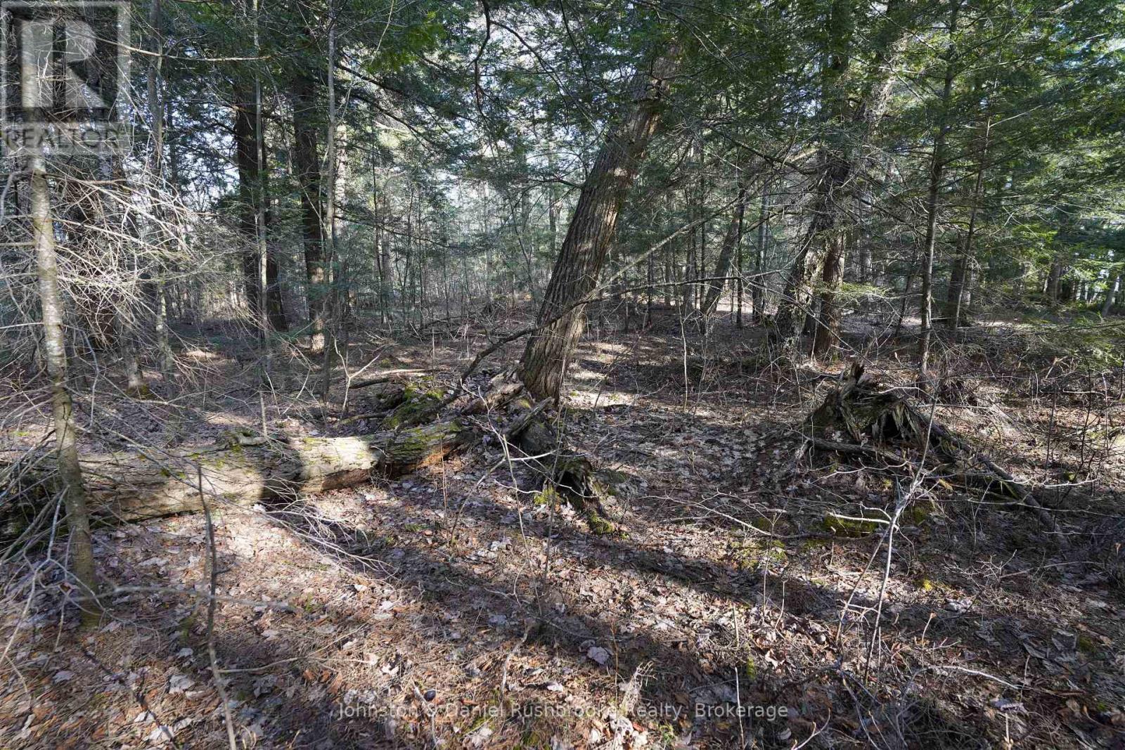 Lot 1 West Bear Lake Road, Mcmurrich/monteith, Ontario  P0A 1Y0 - Photo 14 - X13030212