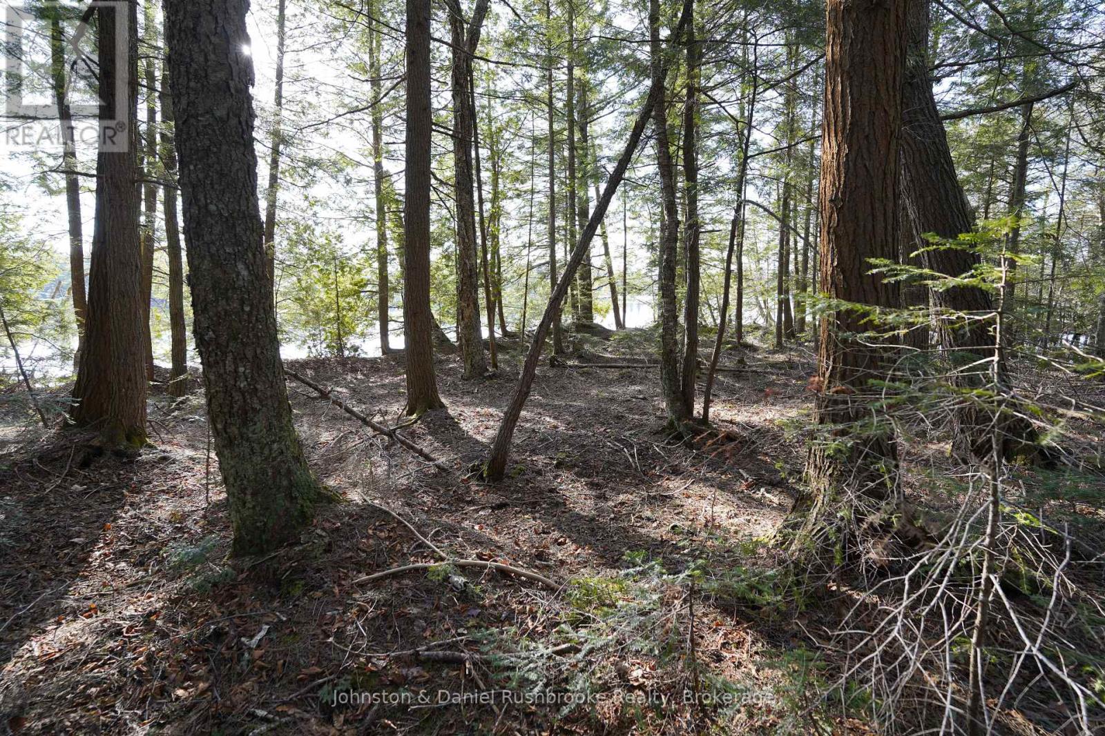 Lot 1 West Bear Lake Road, Mcmurrich/monteith, Ontario  P0A 1Y0 - Photo 16 - X13030212