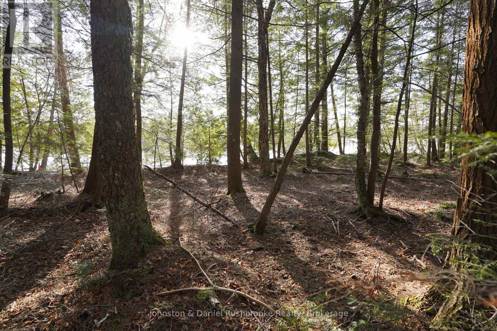 Lot 1 West Bear Lake Road, Mcmurrich/monteith, Ontario  P0A 1Y0 - Photo 17 - X13030212
