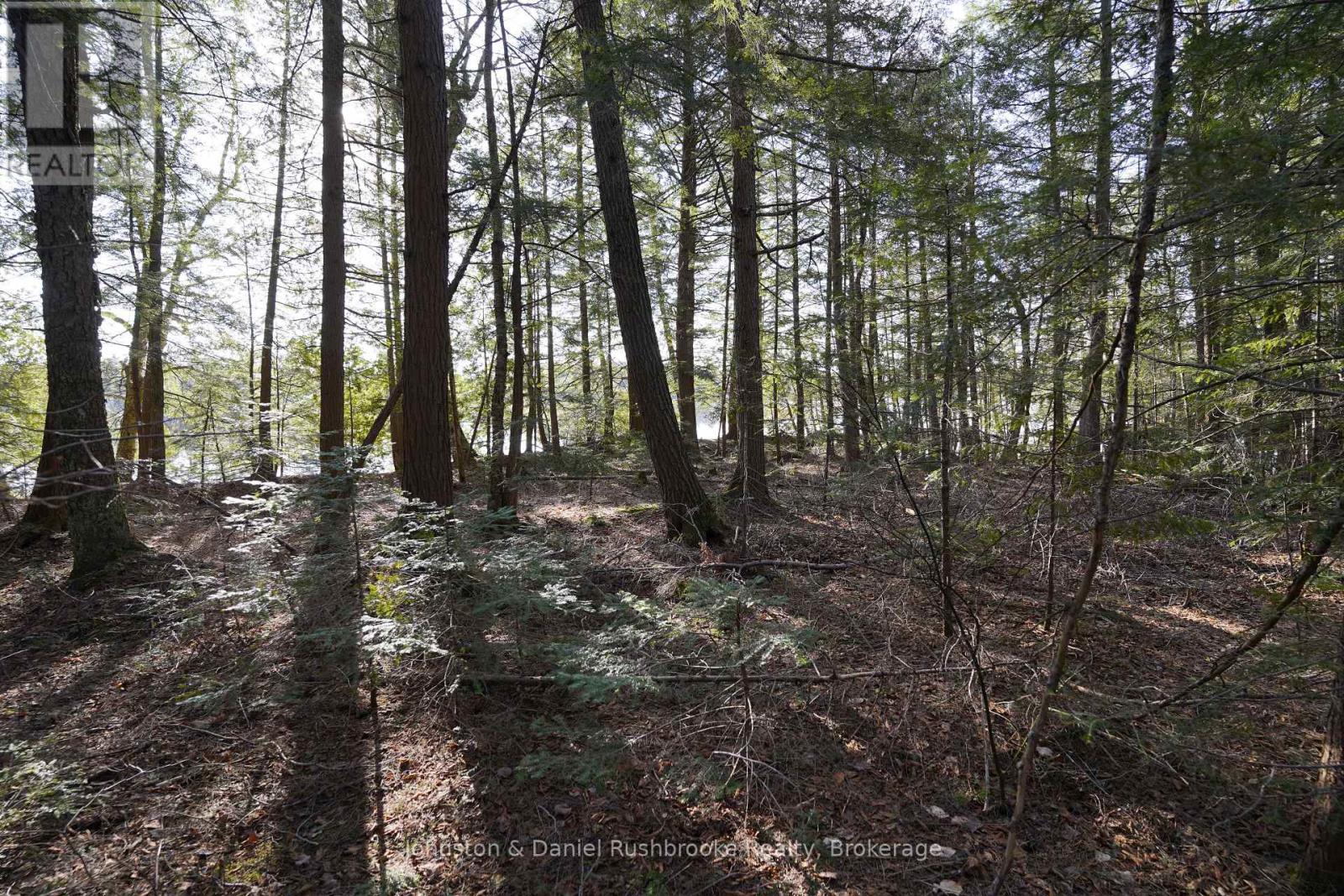 Lot 1 West Bear Lake Road, Mcmurrich/monteith, Ontario  P0A 1Y0 - Photo 18 - X13030212