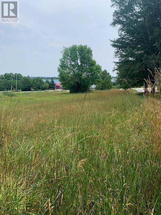 10 Cedar Grove Drive, Tehkummah, Ontario  P0P 2C0 - Photo 11 - 2127265