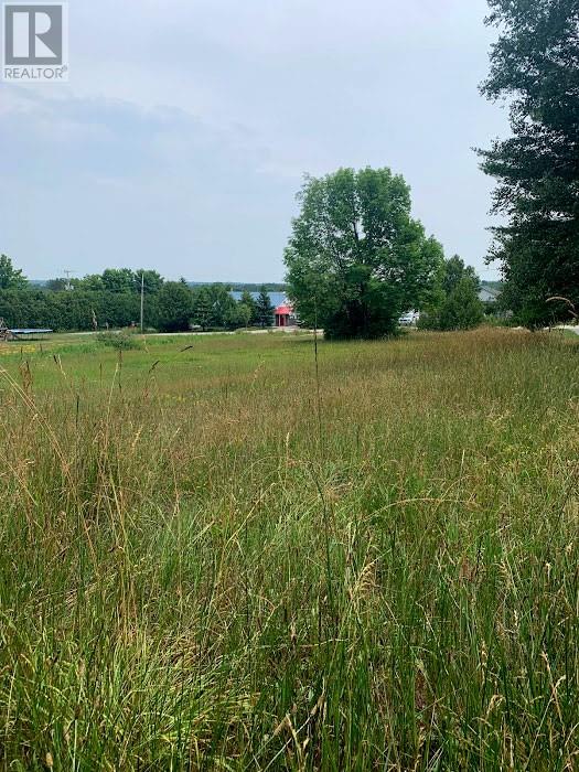 10 Cedar Grove Drive, Tehkummah, Ontario  P0P 2C0 - Photo 12 - 2127265