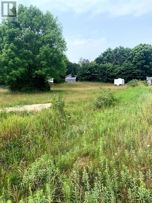 10 Cedar Grove Drive, Tehkummah, Ontario  P0P 2C0 - Photo 7 - 2127265