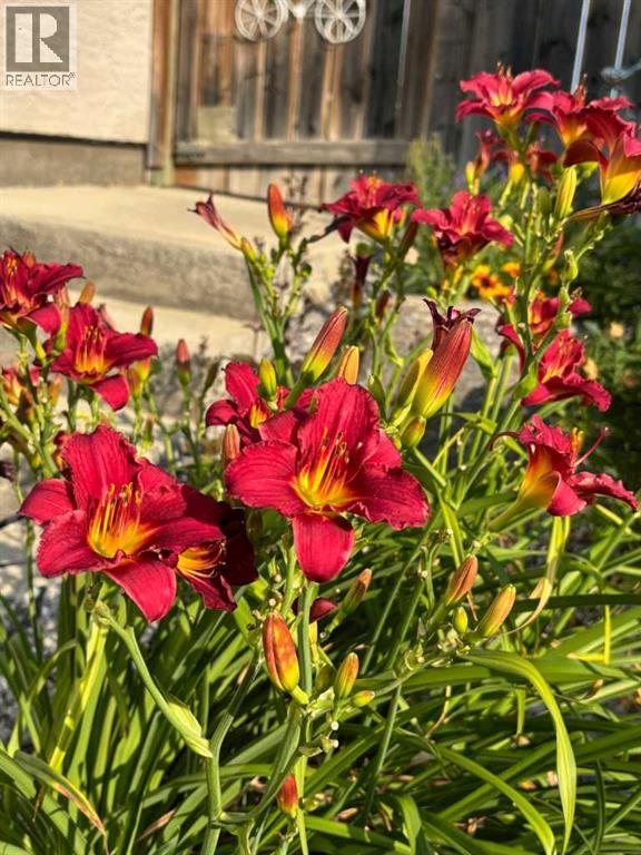 416 Haru Moriyama Place N, Lethbridge, Alberta  T1H 5P1 - Photo 50 - A2294063