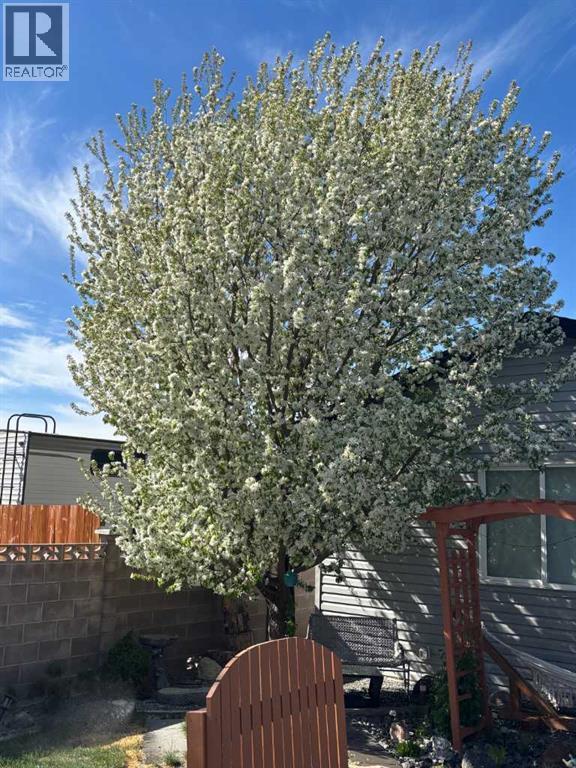 416 Haru Moriyama Place N, Lethbridge, Alberta  T1H 5P1 - Photo 42 - A2294063