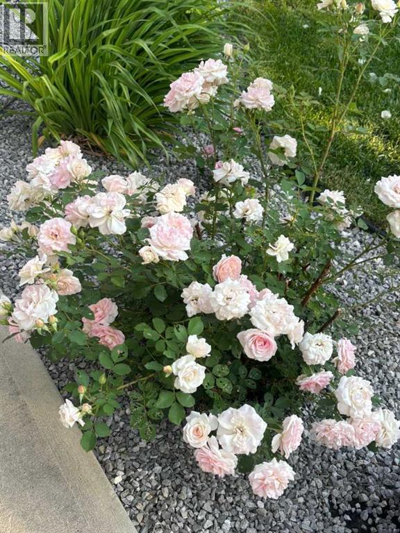 416 Haru Moriyama Place N, Lethbridge, Alberta  T1H 5P1 - Photo 48 - A2294063