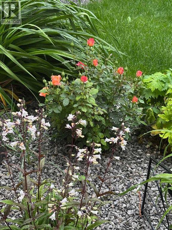 416 Haru Moriyama Place N, Lethbridge, Alberta  T1H 5P1 - Photo 49 - A2294063