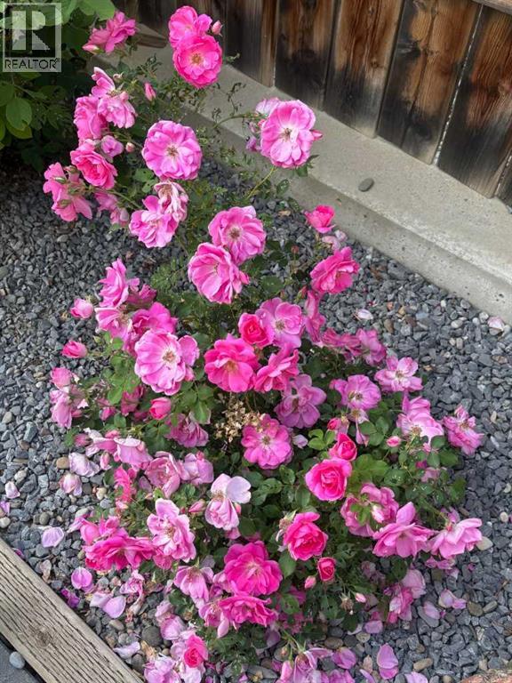 416 Haru Moriyama Place N, Lethbridge, Alberta  T1H 5P1 - Photo 47 - A2294063