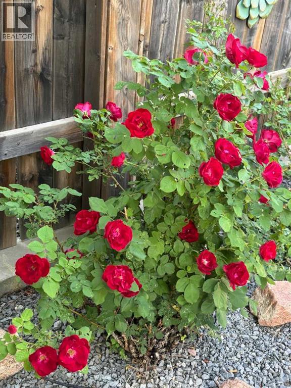 416 Haru Moriyama Place N, Lethbridge, Alberta  T1H 5P1 - Photo 45 - A2294063