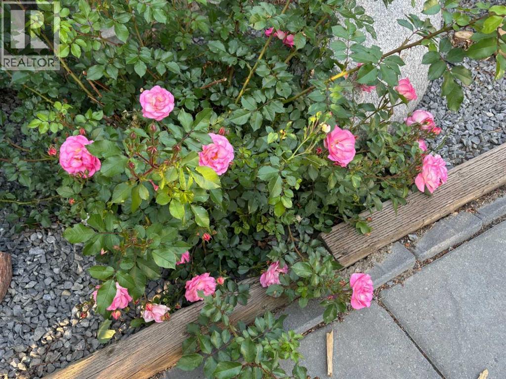 416 Haru Moriyama Place N, Lethbridge, Alberta  T1H 5P1 - Photo 46 - A2294063