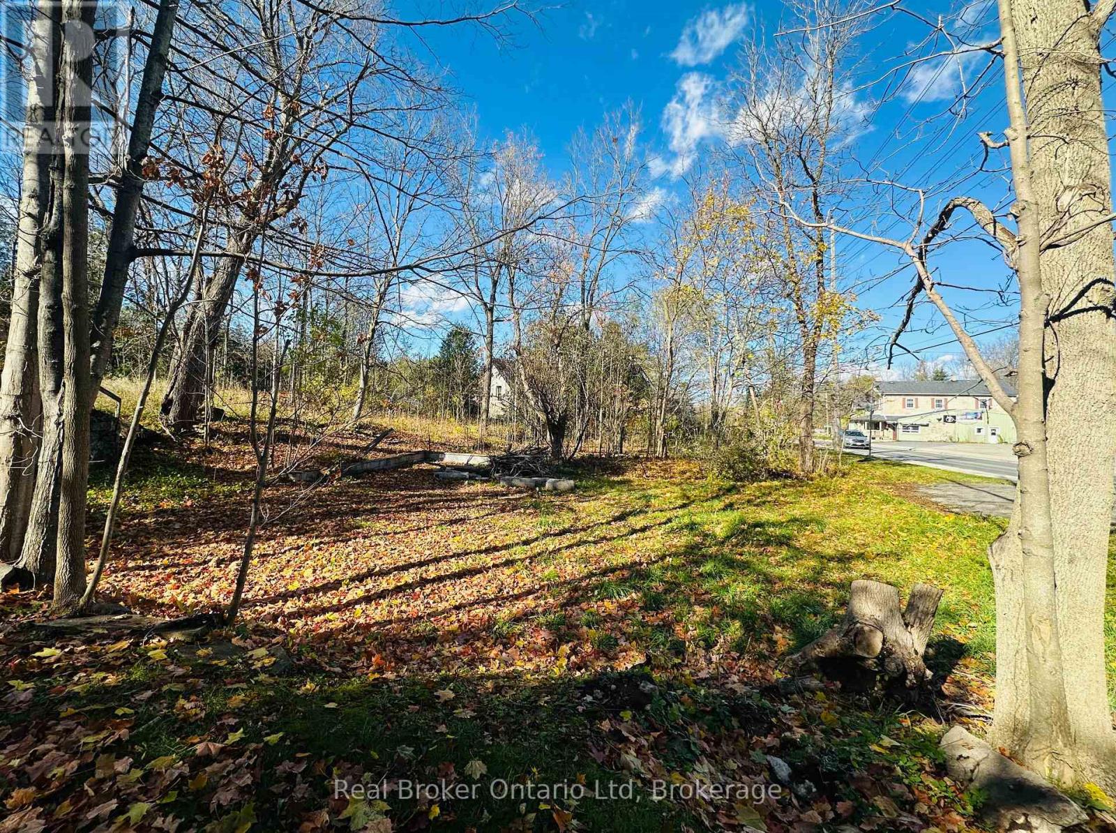 285 Main Street S, Guelph/eramosa, Ontario  N0B 2K0 - Photo 2 - X12509150