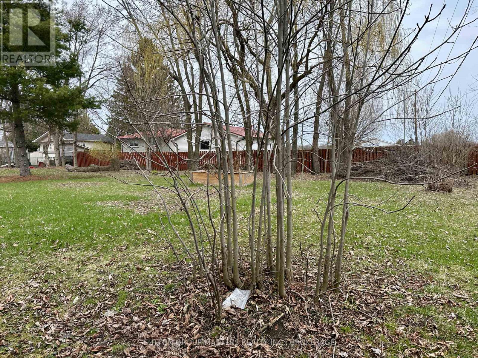 1666 Victoria Street, Kingston, Ontario  K7M 5H3 - Photo 6 - X13030466