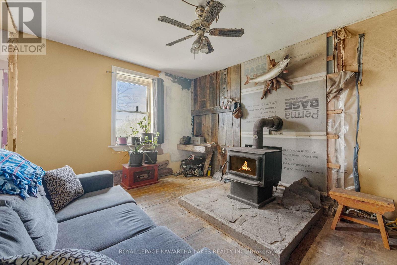 589 County Road 8 Road, Kawartha Lakes, Ontario  K0M 1N0 - Photo 10 - X13030368