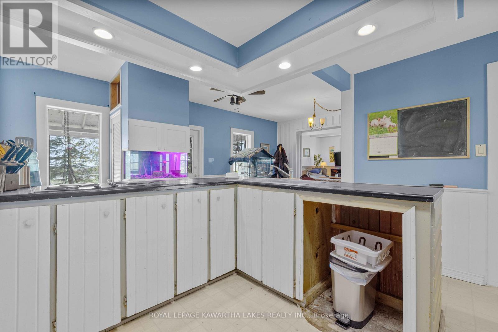 589 County Road 8 Road, Kawartha Lakes, Ontario  K0M 1N0 - Photo 5 - X13030368