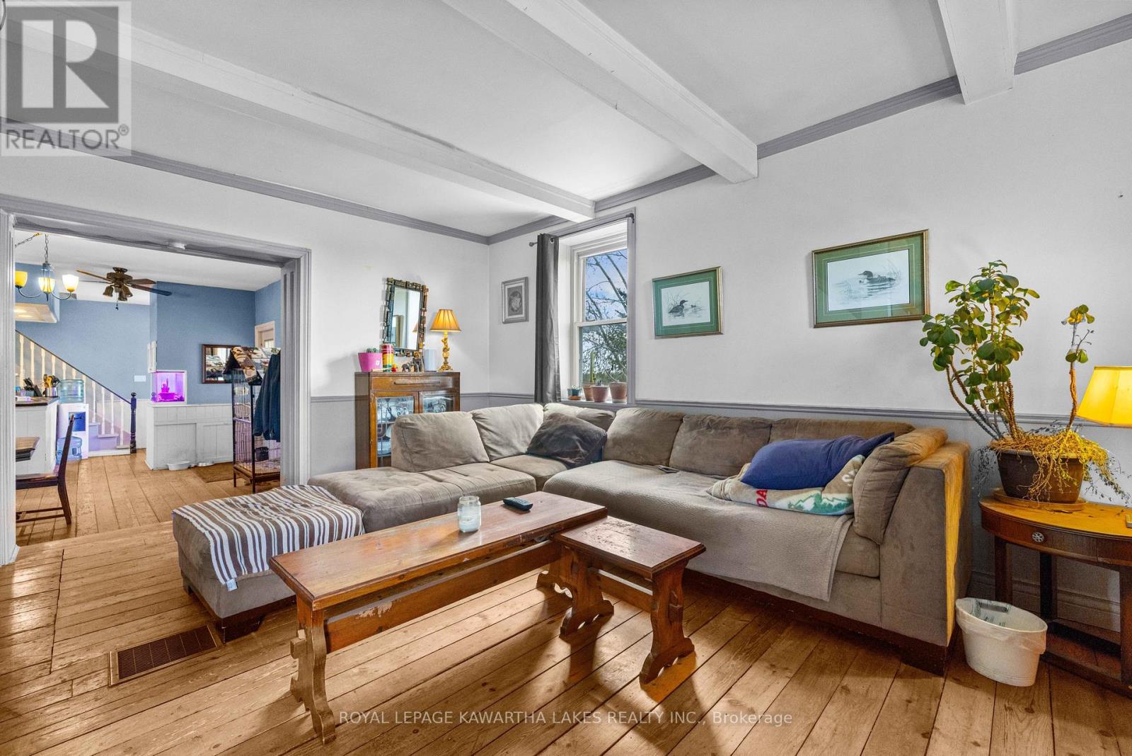 589 County Road 8 Road, Kawartha Lakes, Ontario  K0M 1N0 - Photo 7 - X13030368