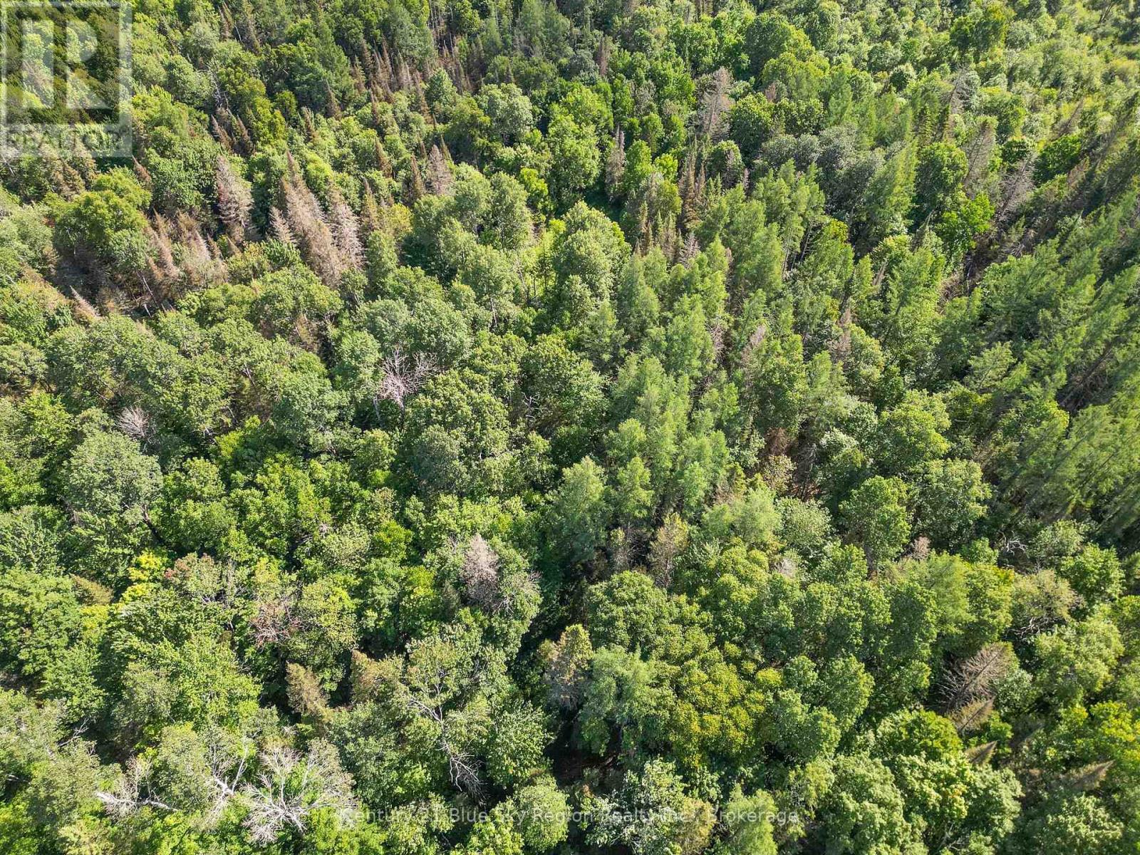 Lot 184 Alsace Road, Nipissing, Ontario  P0H 1W0 - Photo 14 - X13030328