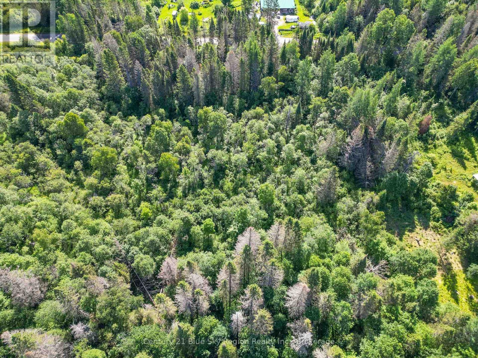 Lot 184 Alsace Road, Nipissing, Ontario  P0H 1W0 - Photo 15 - X13030328