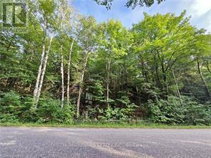 Lot 184 Alsace Road, Nipissing, Ontario  P0H 1W0 - Photo 19 - X13030328