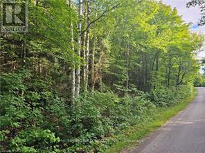 Lot 184 Alsace Road, Nipissing, Ontario  P0H 1W0 - Photo 20 - X13030328